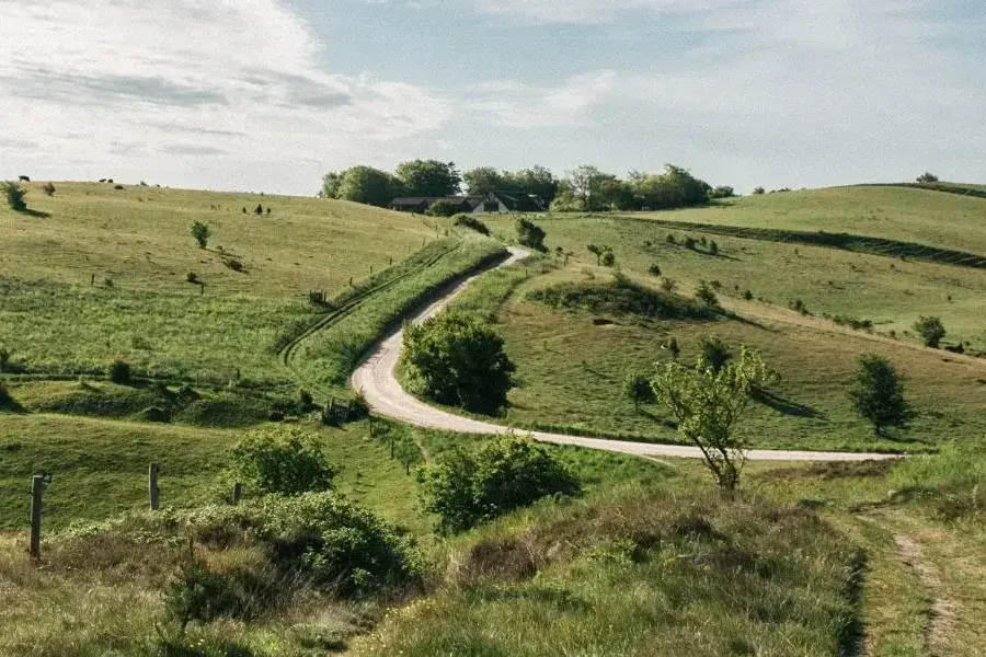 Trehøje